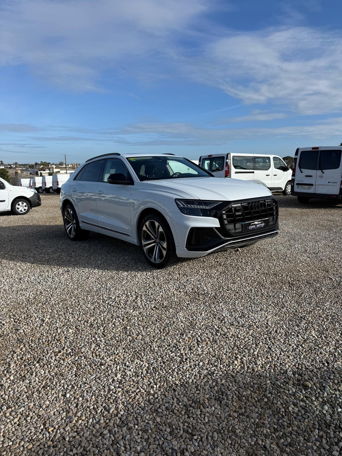 AUDI Q8 Black line 50 TDI quattro tiptron - Imagen 2